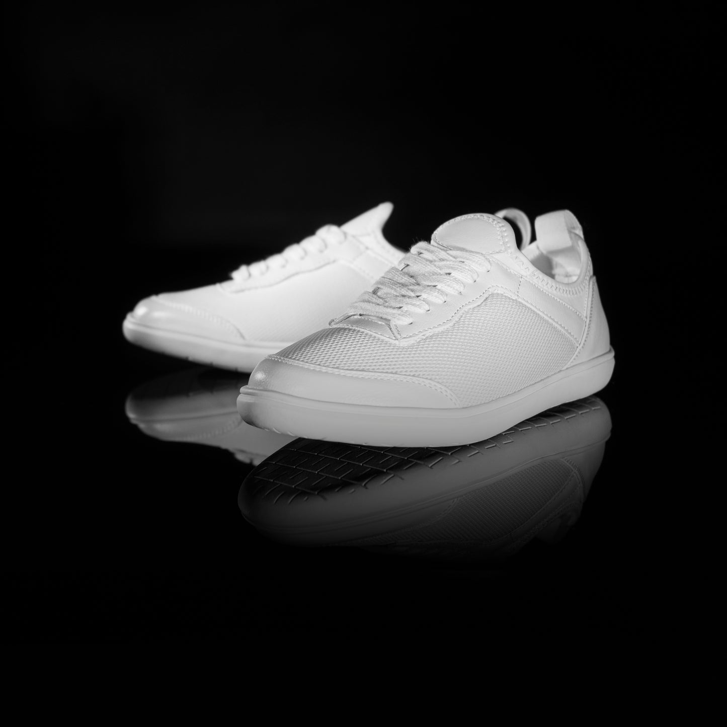 White DM1 - Females