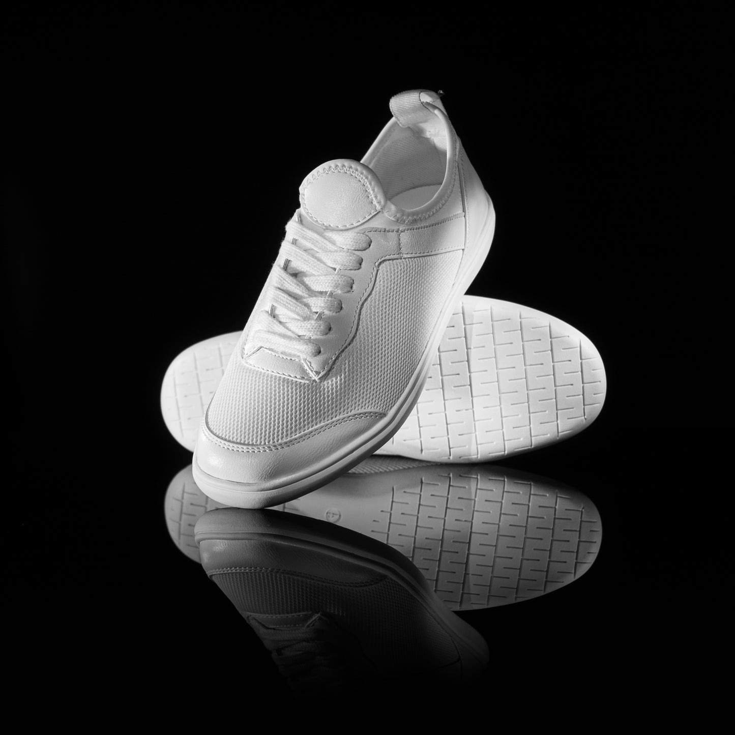 White DM1 - Females