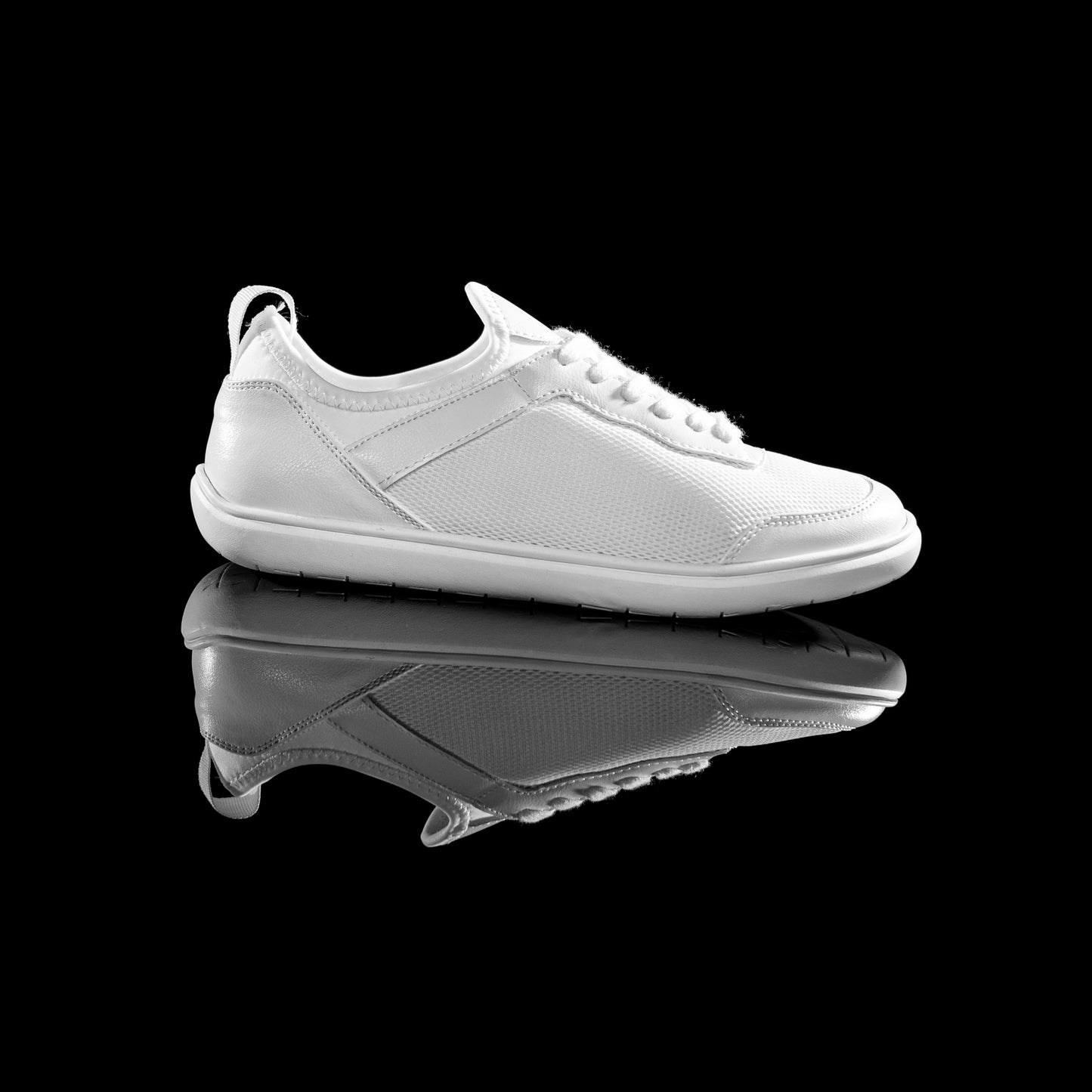 White DM1 - Females