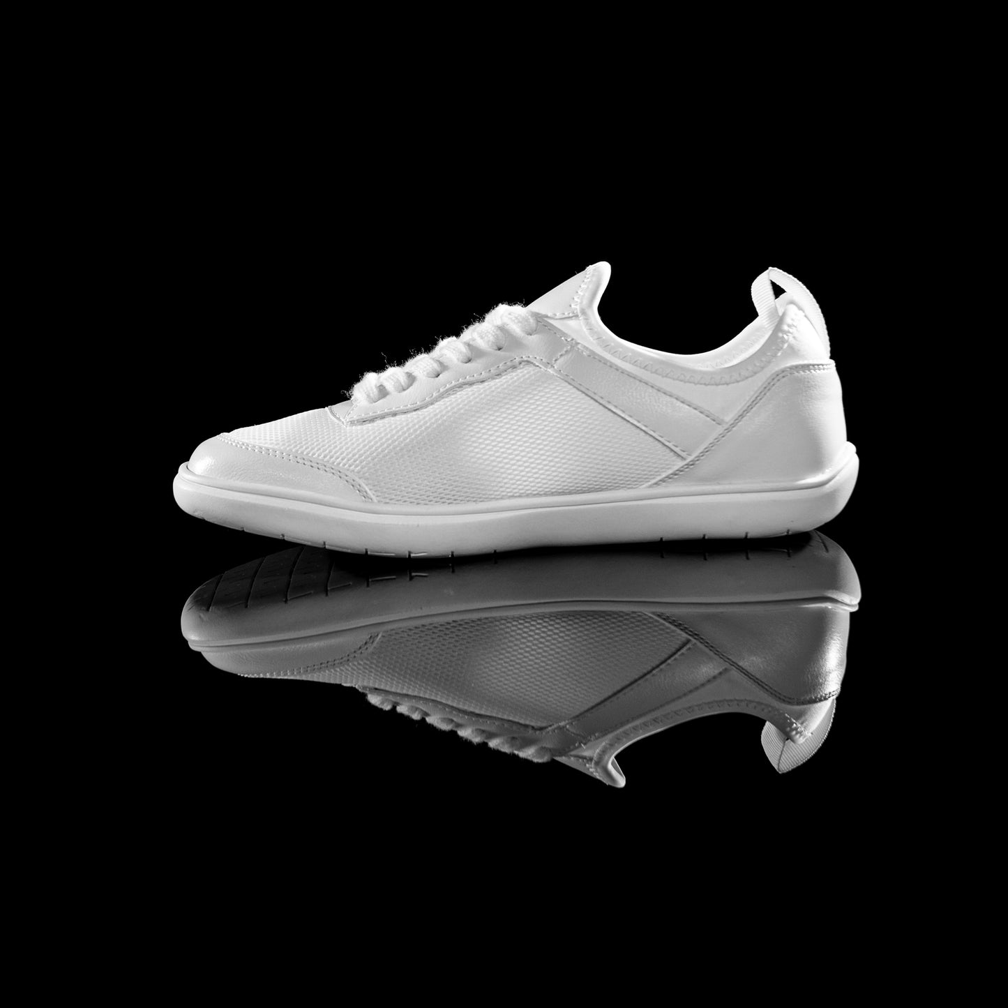 White DM1 - Females